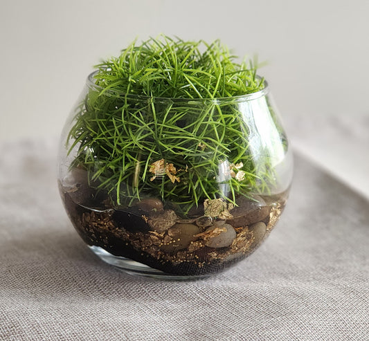 Glass Decoration Bowl Set of 2